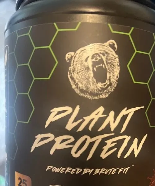 Plant protein