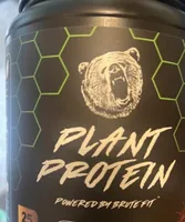 Plant protein