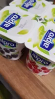 yaourt aux fruits et soja