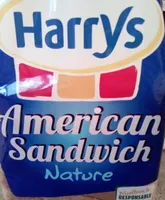American sandwich nature