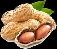 Beurre de cacahuète Fedibio