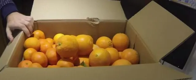 Oranges Biologiques (Naveline)