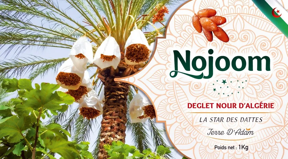 Dattes Deglet Nour NOJOOM