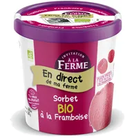 Sorbet bio à la Framboise