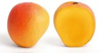 Mangue Kent du Pérou par avion