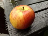Apfel