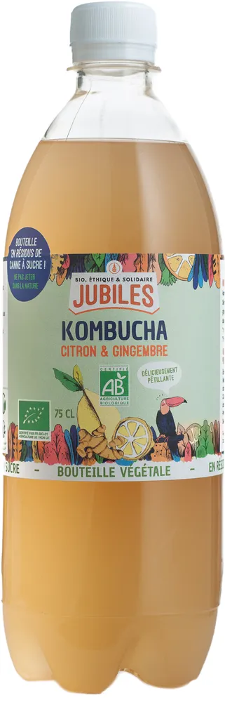Kombucha Citron Gingembre