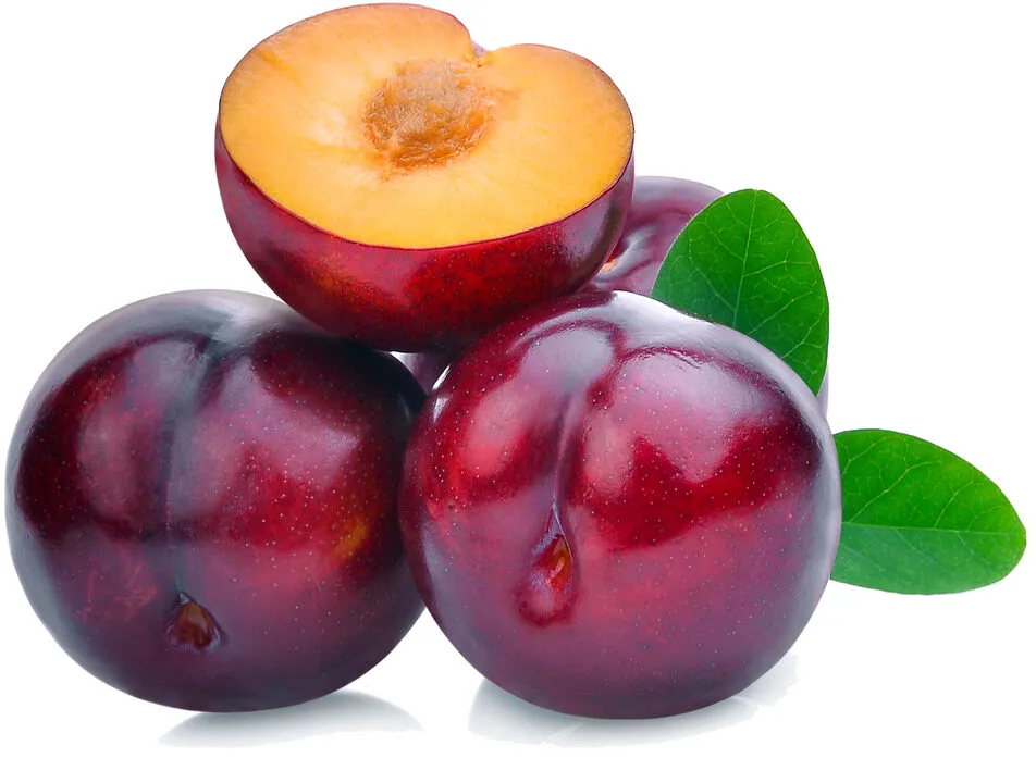 Susine