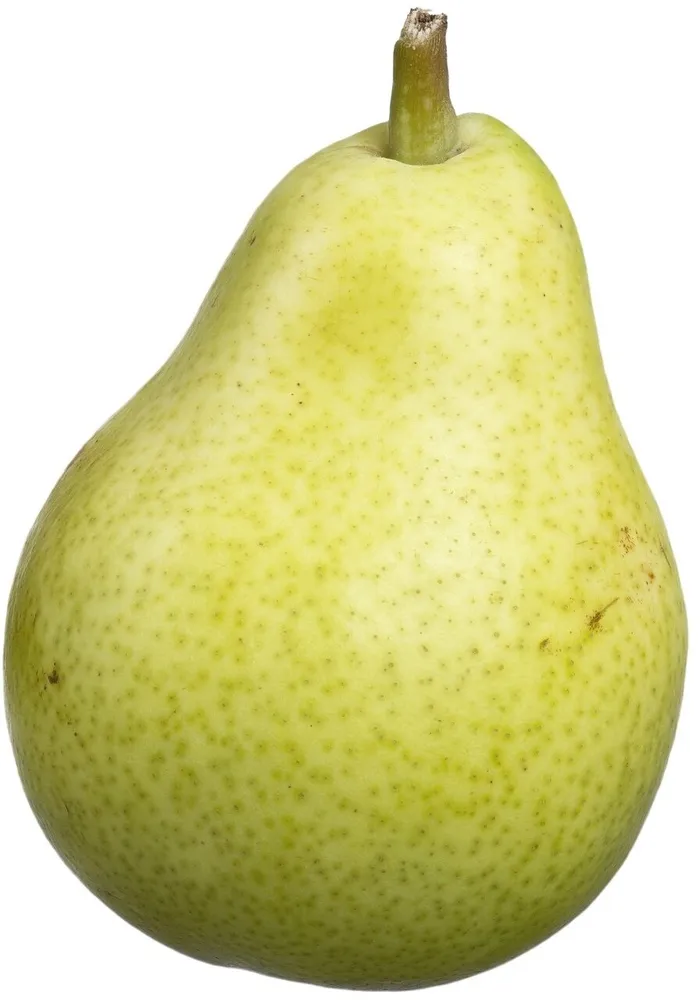 Gruszka