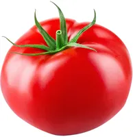 Pomidor