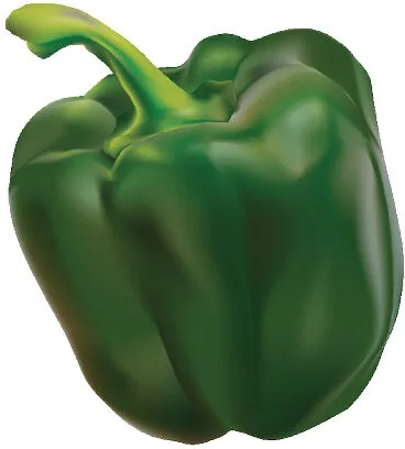 Papryka zielona