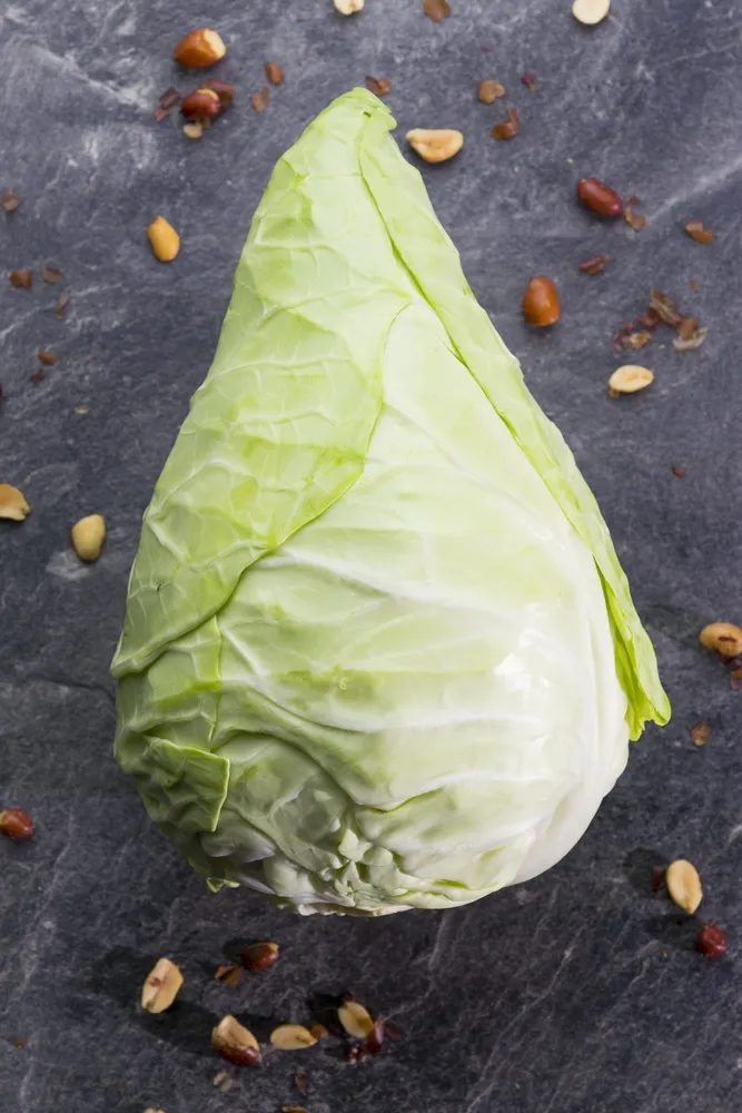 Spitzkohl