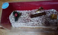 Buche crème au beurre vanille