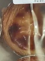 Pastel de nata