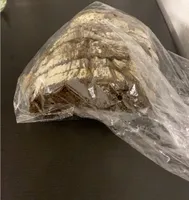 Pain au malt