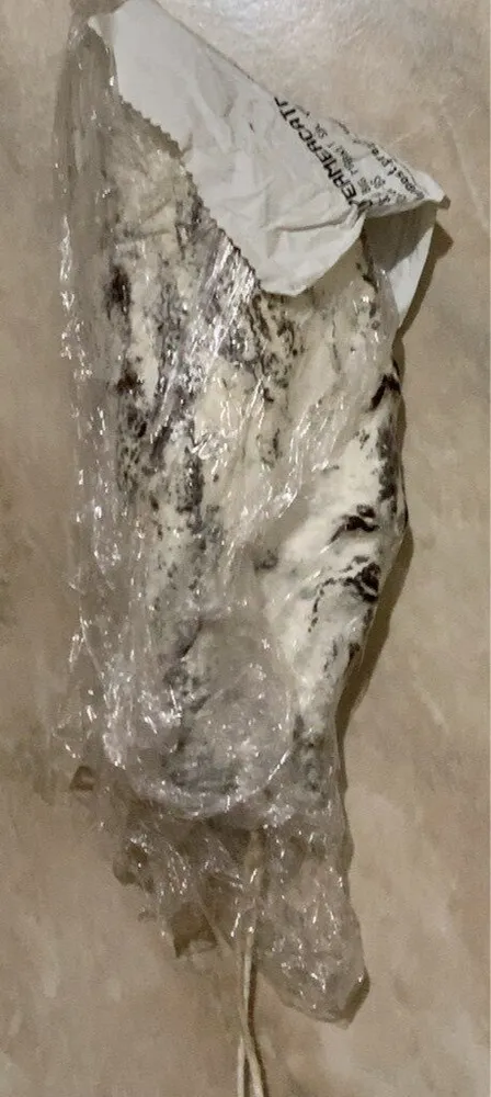 Slinzega Equina