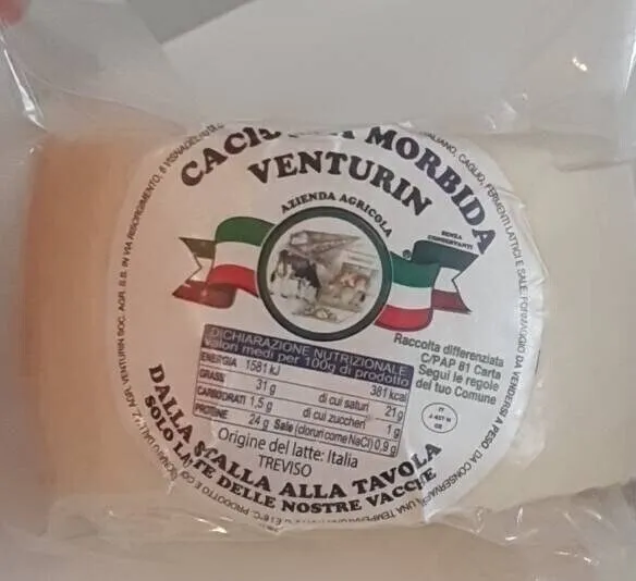Caciotta morbida
