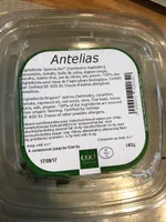 Antelias