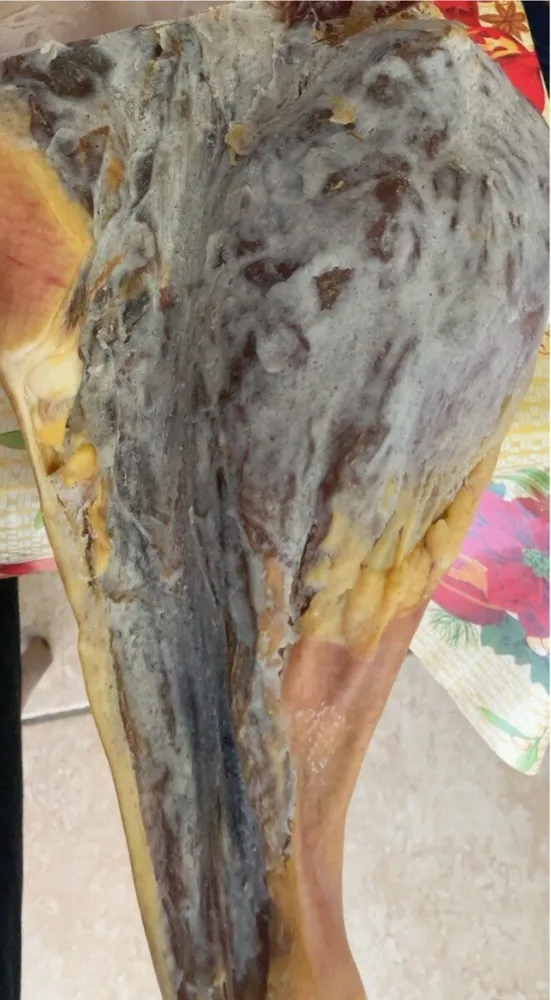 Prosciutto crudo