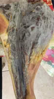 Prosciutto crudo