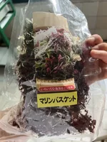 Dried Seaweed