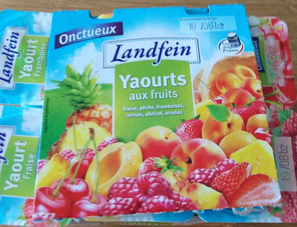 Yaourt aux fruits
