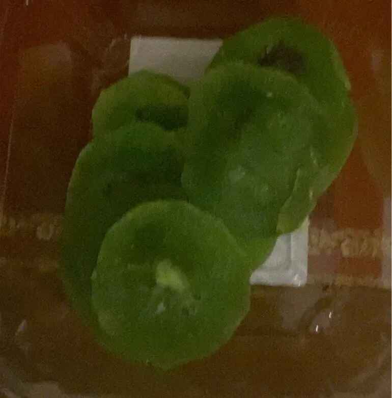 Kiwi