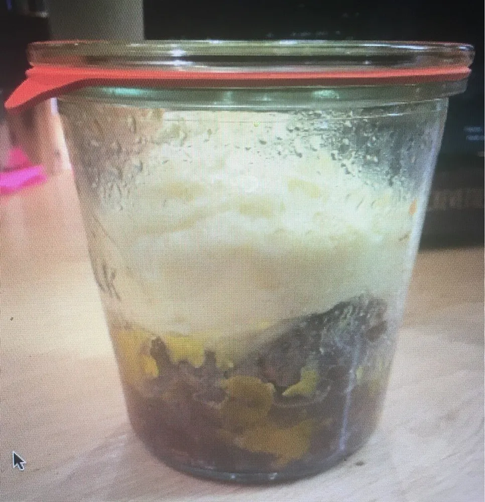 Boeuf braise en parmentier Regis Marcon
