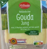 Käse Gouda jung