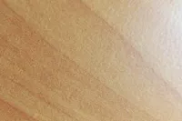 Fsef