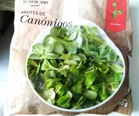 Brotes de canónigos