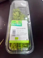 Eco cilantro