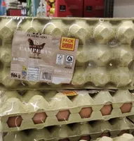 Huevos de gallinas camperas