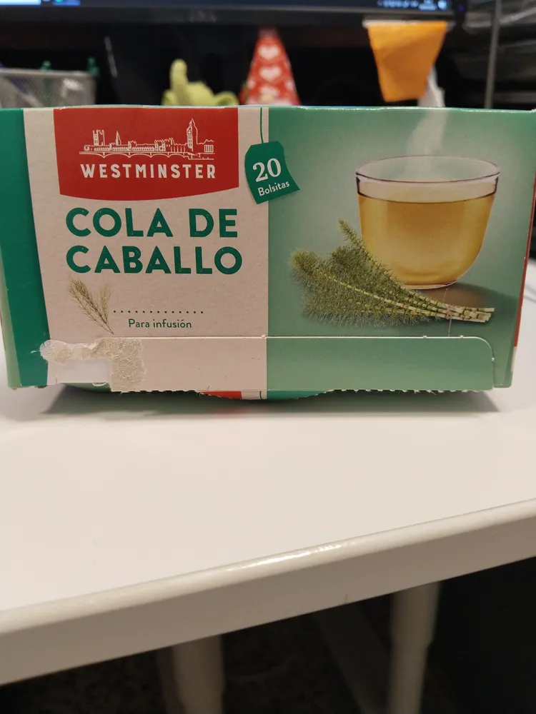 Cola de caballo