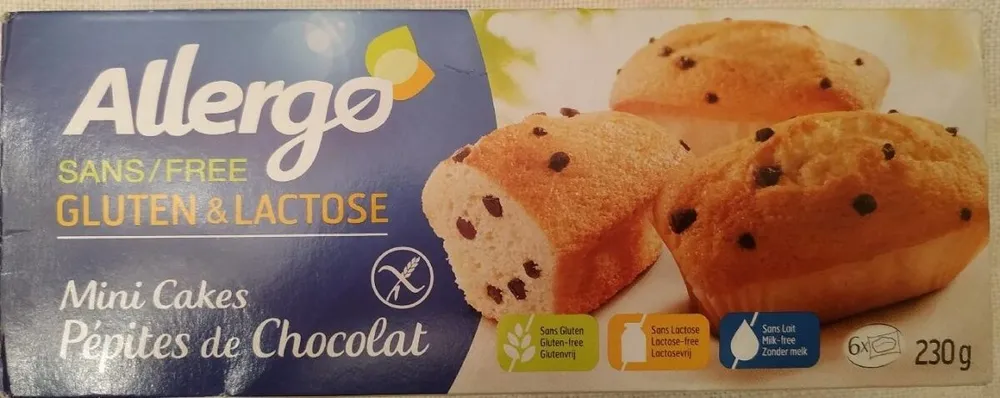 Mini cakes pepites de chocolat sans gluten ni kactosr
