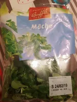 Mâche