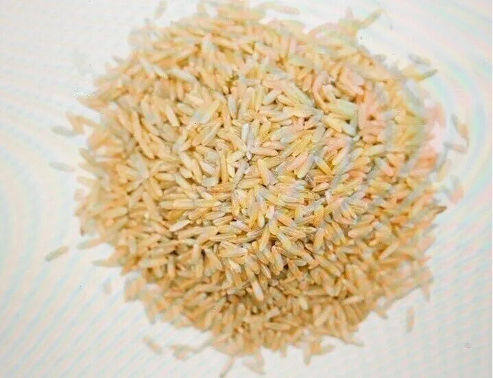 Biothentic riz long bio