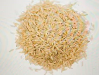 Biothentic riz long bio