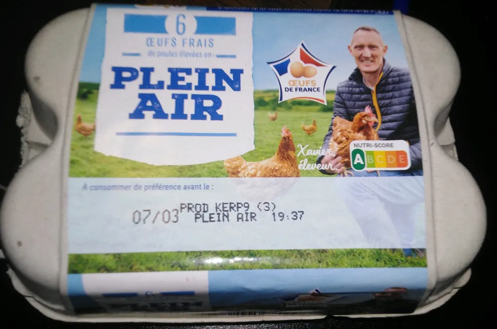 Œufs frais plein air