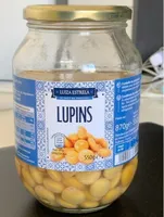 Lupins