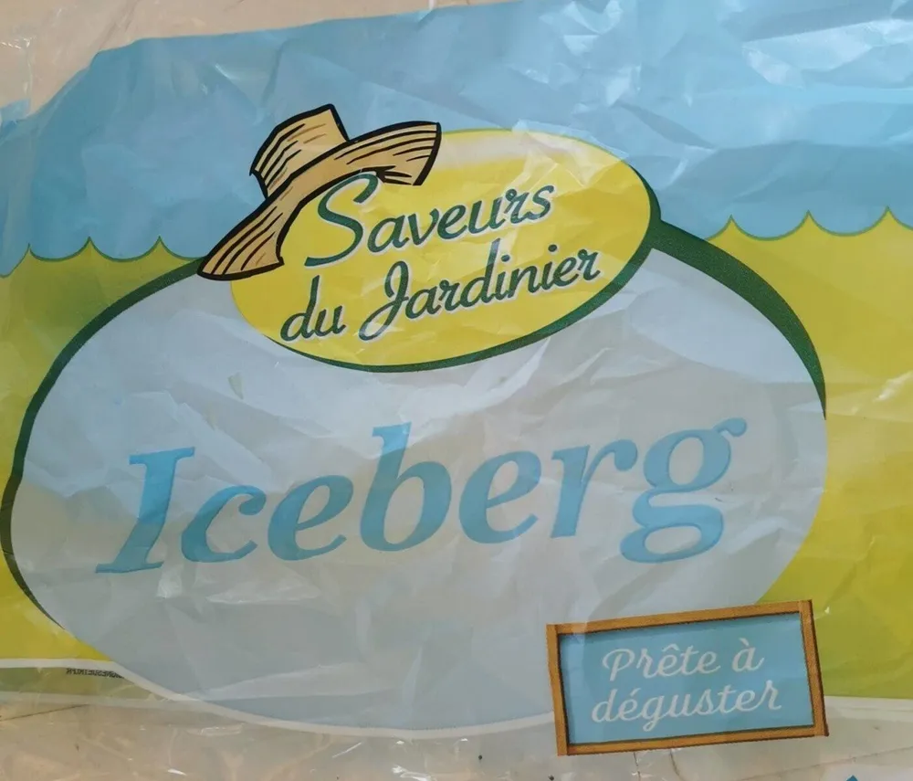 Iceberg