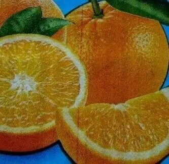 Boisson orange