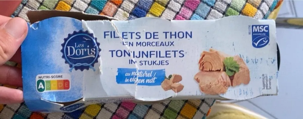 Filet de thon en morceaux