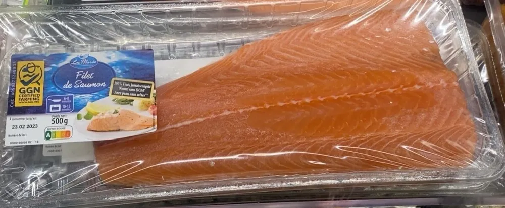 Filet de saumon