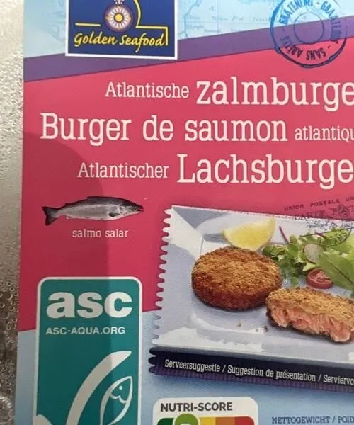 Burger de saumon