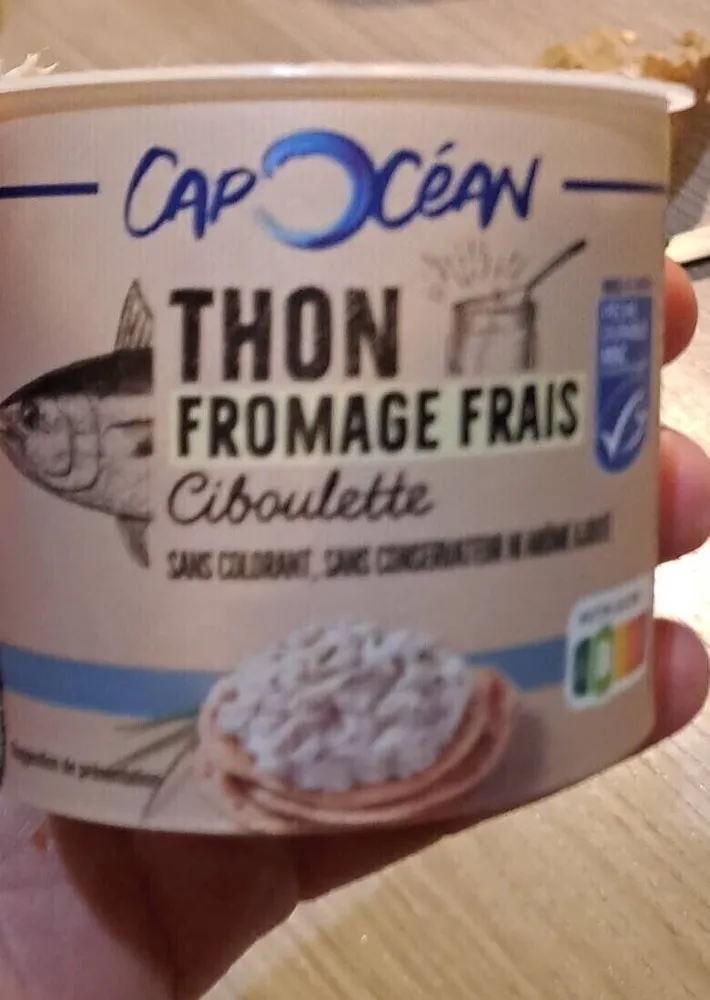 Thon fromage frais