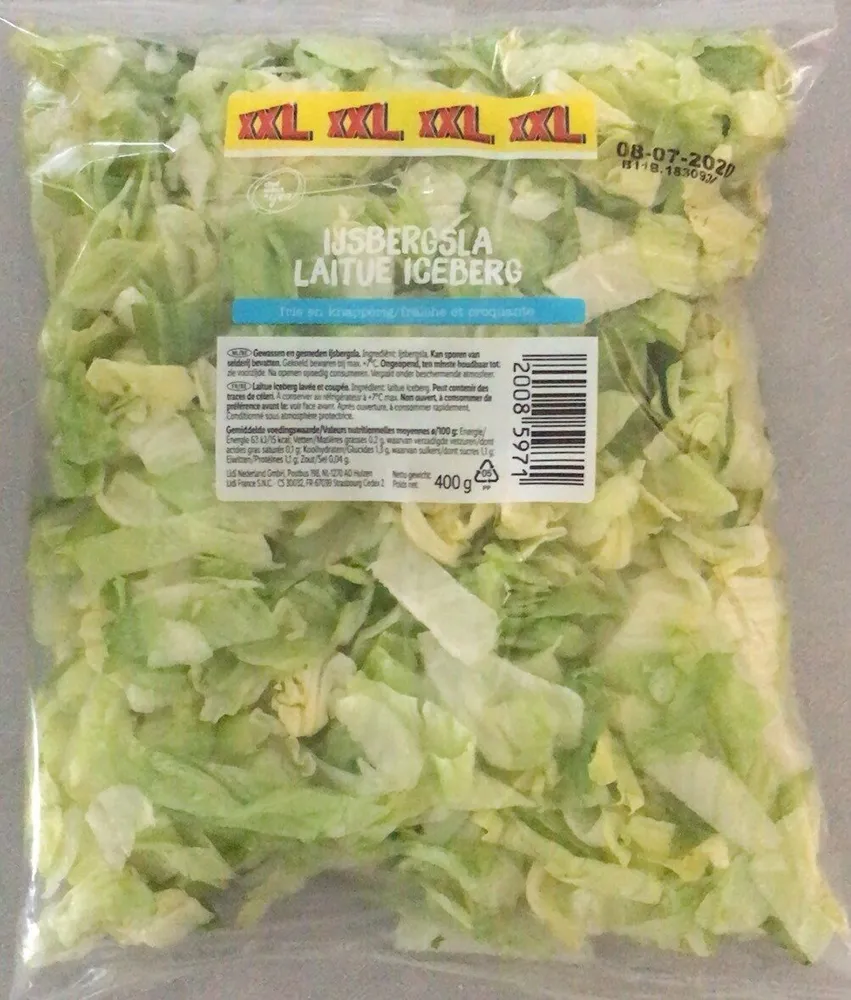 Laitue  Iceberg