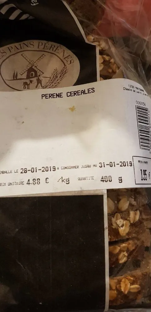Perene céréales