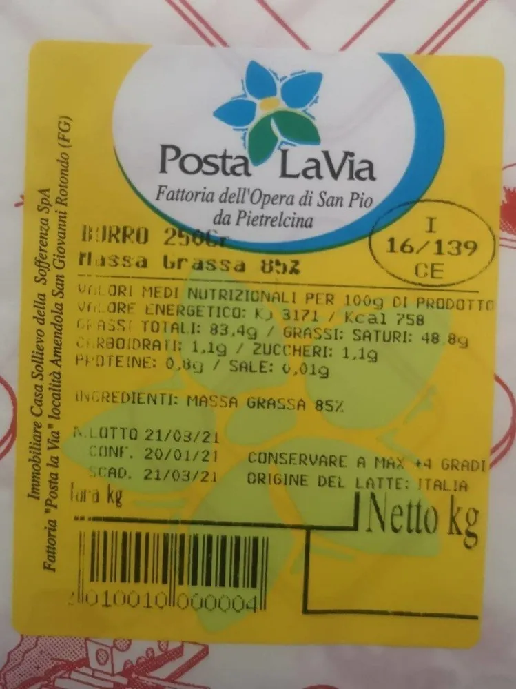 Burro