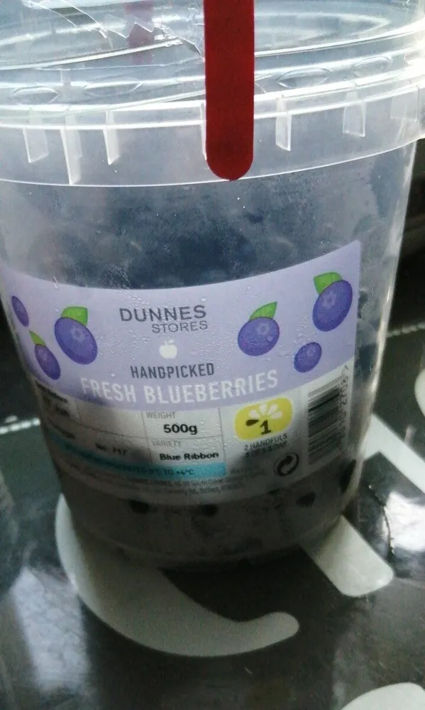 handpicked fresh blueberries